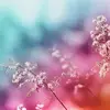 alyssa Pine - @alyssa.pine - TikTok
