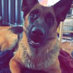 Alyssa Pingitore - @army_brat_04 - Instagram