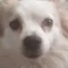 Alyssa Quinn - @alyssa.quinn46 - TikTok