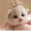 alyssaricca - @heath70514 - TikTok