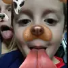 Alyssa ringler - @alyssaringler_ - TikTok