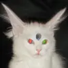 Alyssa_rios - @alyssa_rios12 - TikTok