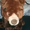 Koda - @alyssarios412 - TikTok