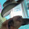 Alyssa Ritchie - @alyssa.ritchie - TikTok