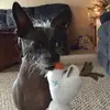 Alyssa Robert  - @alyssarobert124 - TikTok