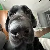 Alyssa Roberts - @alyssaroberts3 - TikTok