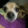 alyssa - @alyssa_rubio - TikTok