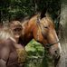 Alicia Bean Ruffner - Facebook