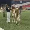 Alyssa Seitz - @alyssaseitz4 - TikTok