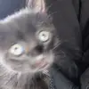 alyssa.serna41 - @alyssa.serna41 - TikTok