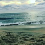 vmhs - @alyssa.serna.562 - Instagram