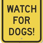 Alyssa Shoop - @watchforpupdestrians - Instagram