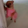 alyssa - @alyssasierra45 - TikTok