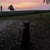 Alyssa Simms - Facebook