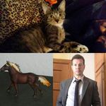 Alyssa Simonson - @_schleich_lover_77 - Instagram