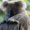 Alyssa Skinner - @alyssa2796 - TikTok