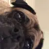 Alyssa - @alyssa_skye__ - TikTok