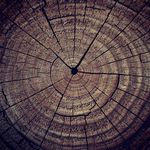 Alyssa Slack - @alyssa_slack_photography - Instagram