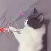 Alyssa - @alyss.aslade - TikTok