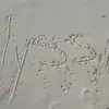 Alyssa Small667 - @atsmall - TikTok