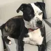 Alyssa spinelli - @alyssaspinelli1 - TikTok