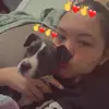 alyssa springer - @alyssa.springer6 - TikTok