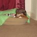 Starsky Lyssy - Facebook