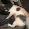 alyssatan1238 - @alyssatan23 - TikTok