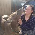 alyssa thurman - @lyssa.spammmmsssss - Instagram