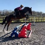 Alyssa Townsend Eventing - @alyssatownsend_eventing - Instagram