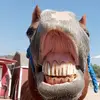 Alyssa - @alyssawickoff1 - TikTok