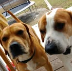 Alyssa Wicks - Facebook