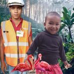 Amad Ali Ali - Facebook