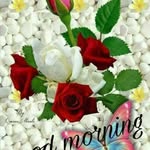 Amad Shaikh - @amad.shaikh.739 - Instagram