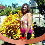 Amada Perez - Facebook