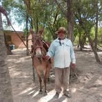 Amadeo Mora - Facebook