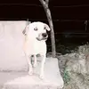 amadeomoran588 - @amadeomoran588 - TikTok