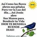 Amado Rivera - @amado.rivera.10236 - Instagram