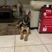 Amado Rivera - Facebook