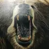Amado Rivera - @amadorivera36 - TikTok