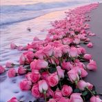 Amal Ashour - Facebook
