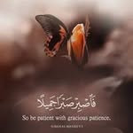 Amal Ashour - @amal_ashour_65 - Instagram