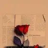 Amal issa - @amal.issa73 - TikTok