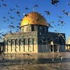 amal issa - @amalissa5875 - TikTok