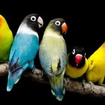 Amal Mathew - Facebook