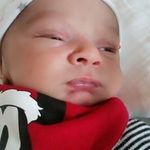 Amal Murad - @amal.murad.336 - Instagram