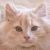 amal omari@ - @omariamal12.9.2023 - TikTok