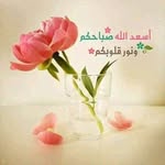 amal omari - @omari1329 - Instagram