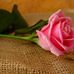 Amal Rizk - Facebook