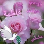 Amal Youssef - @amalyoussef393 - Instagram